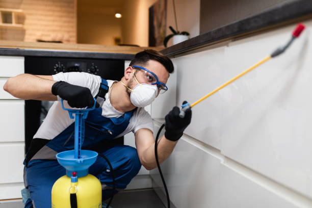 Best Affordable Pest Control Services  in Brooklyn, WI