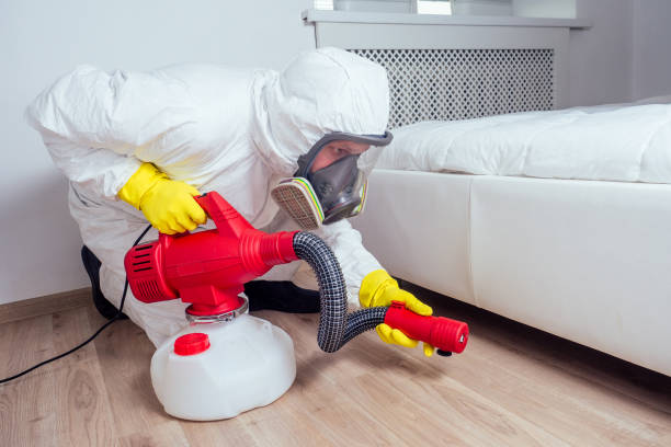 Best Affordable Pest Control Services  in Brooklyn, WI