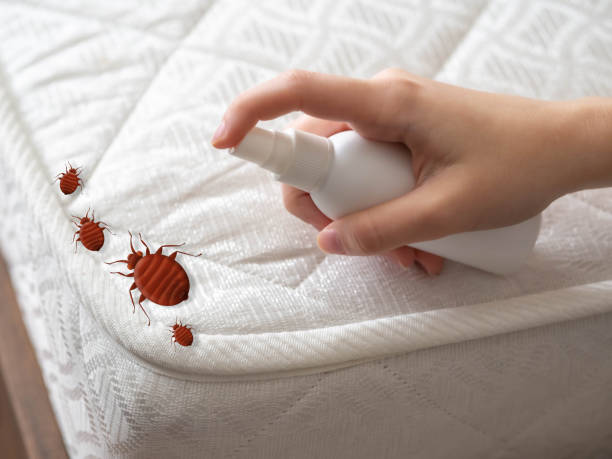 Best Emergency Pest Control  in Brooklyn, WI