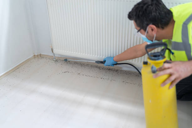 Best Ant Control Services  in Brooklyn, WI