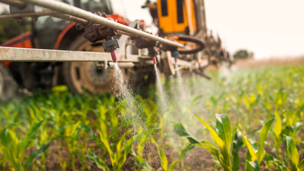 Best Pest Removal Services  in Brooklyn, WI