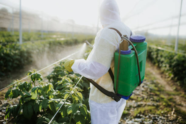 Best Bed Bug Extermination  in Brooklyn, WI